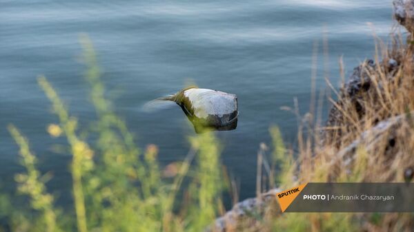 Загрязненное Ереванское озеро - Sputnik Армения