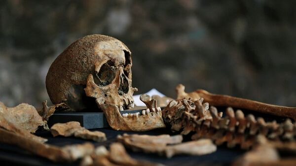Скелет из археологических раскопок в Британии - Sputnik Армения