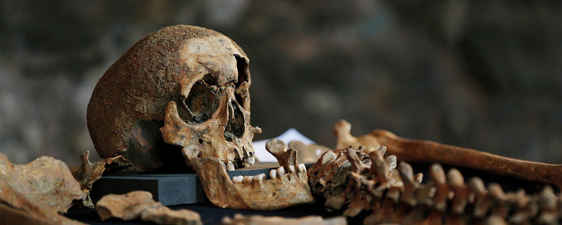 Скелет из археологических раскопок в Британии - Sputnik Армения, 1920, 14.01.2022