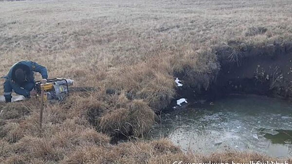 Փրկարարները ջրափոսից դուրս են բերել դի. արխիվային լուսանկար - Sputnik Արմենիա