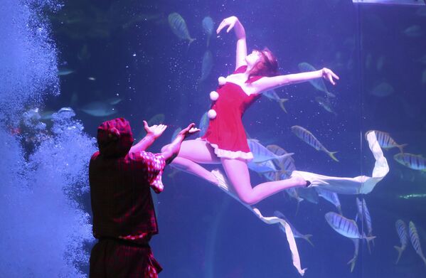 Дайвер в костюме Санта-Клауса в аквариуме Aqua Planet, Южная Корея. - Sputnik Армения