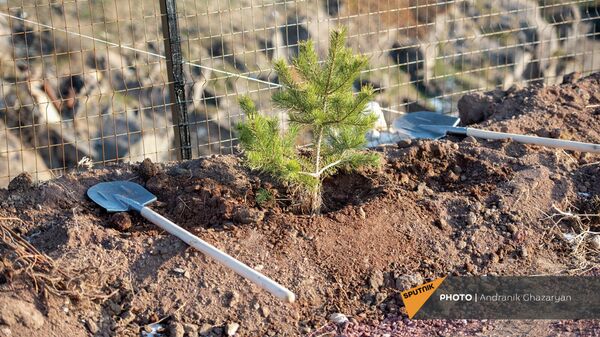 Հայաստանի ազգային հերոս Վահագն Ասատրյանի անվան Հերոսների վերականգնողական քաղաքի բացման արարողությունը (25 դեկտեմբերի, 2021թ)․ Պռոշյան - Sputnik Արմենիա