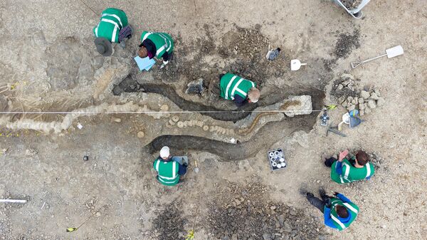 Палеонтологи работают на месте находки останков крупнейшего британского ихтиозавра в Ратленд-Уотер (август 2021 г.). Округ Ратленд - Sputnik Армения