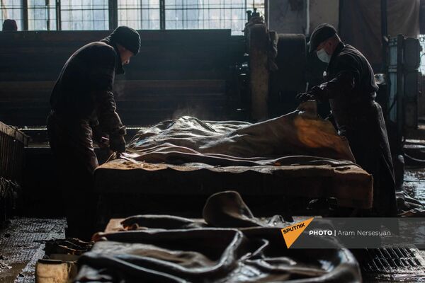 Раскройка сырой кожи на Ереванском кожевенном заводе - Sputnik Армения