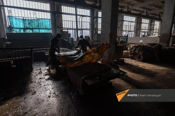 Очистка сырой кожи на Ереванском кожевенном заводе Очистка сырой кожи на Ереванском кожевенном заводе - Sputnik Армения