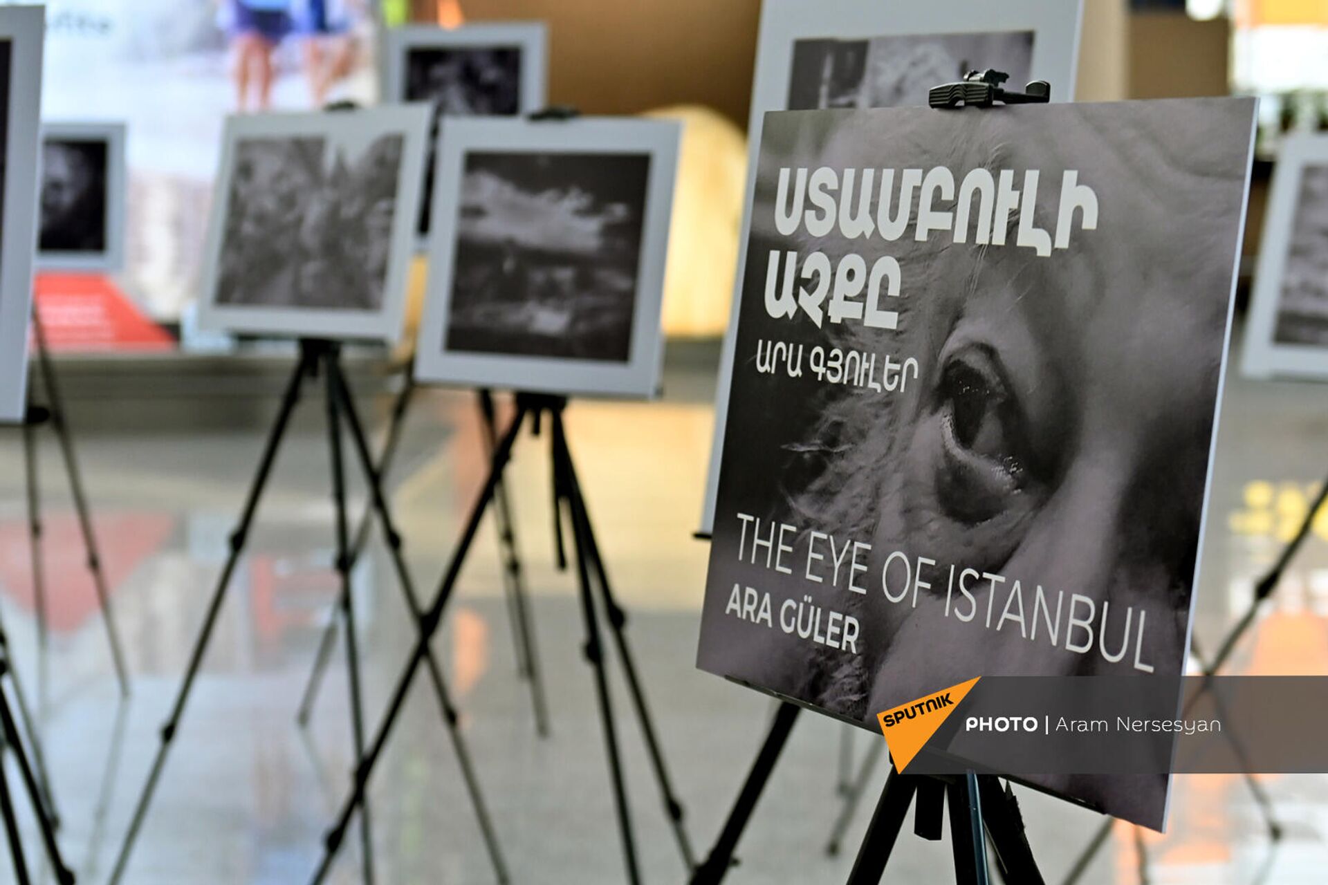 Выставка работ Глаза Стамбула Ара Гюлера в аэропорту Звартноц (2 февраля 2022). Ереван - Sputnik Армения, 1920, 02.02.2022