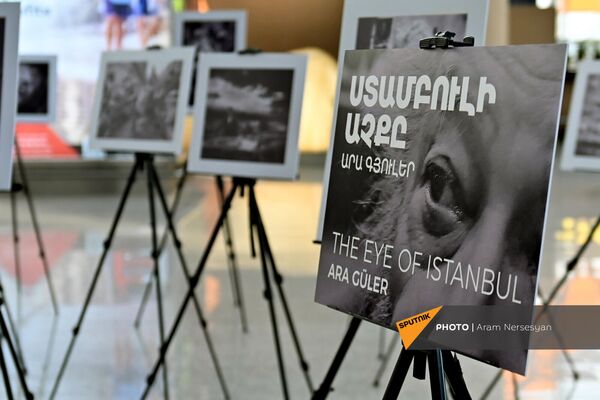 Արա Գյուլերի «Ստամբուլի աչքերը» ցուցահանդեսը «Զվարթնոց» օդանավակայանում (2 փետրվարի, 2022), ԵրևանՕդանավակայանի մեկնման սրահում, գրանցման սեղանի կողքին, դեպի Ստամբուլ չվերթի առիթով կազմակերպվել էր ստամբուլահայ հայտնի լուսանկարիչ Արա Գյուլերի լուսանկարների ցուցահանդեսը: - Sputnik Արմենիա
