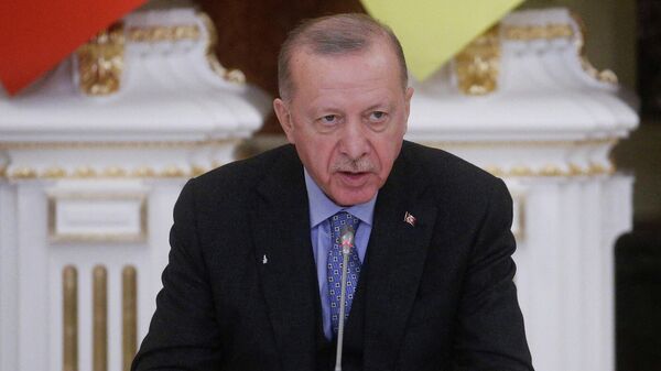 Президент Турции Реджеп Тайип Эрдоган на пресс-конференции (3 февраля 2022). Киев - Sputnik Армения