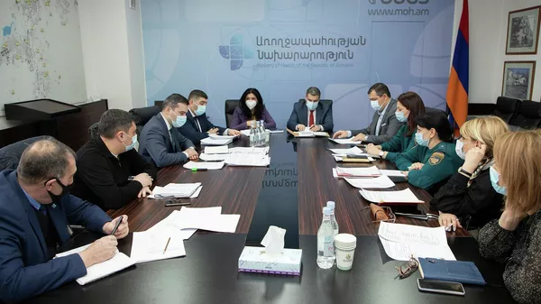 Заседание рабочей группы по созданию медицинской команды быстрого реагирования под председательством заместителей министров здравоохранения Лены Нанушян и по чрезвычайным ситуациям Армена Памбухчяна (4 февраля 2022). Еревaн - Sputnik Армения