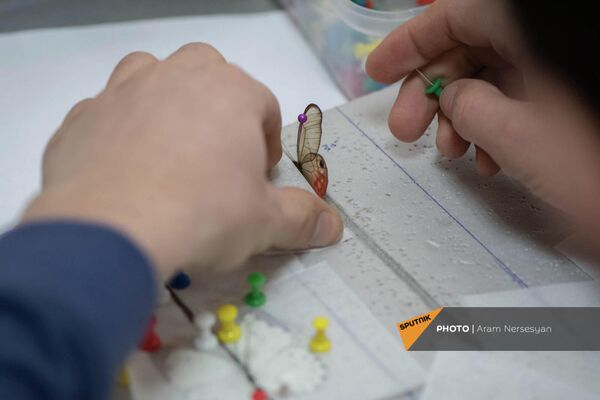 Получившие ранение солдаты изготавливают композиции из бабочек в реабилитационном центре Защитник Отечества - Sputnik Армения