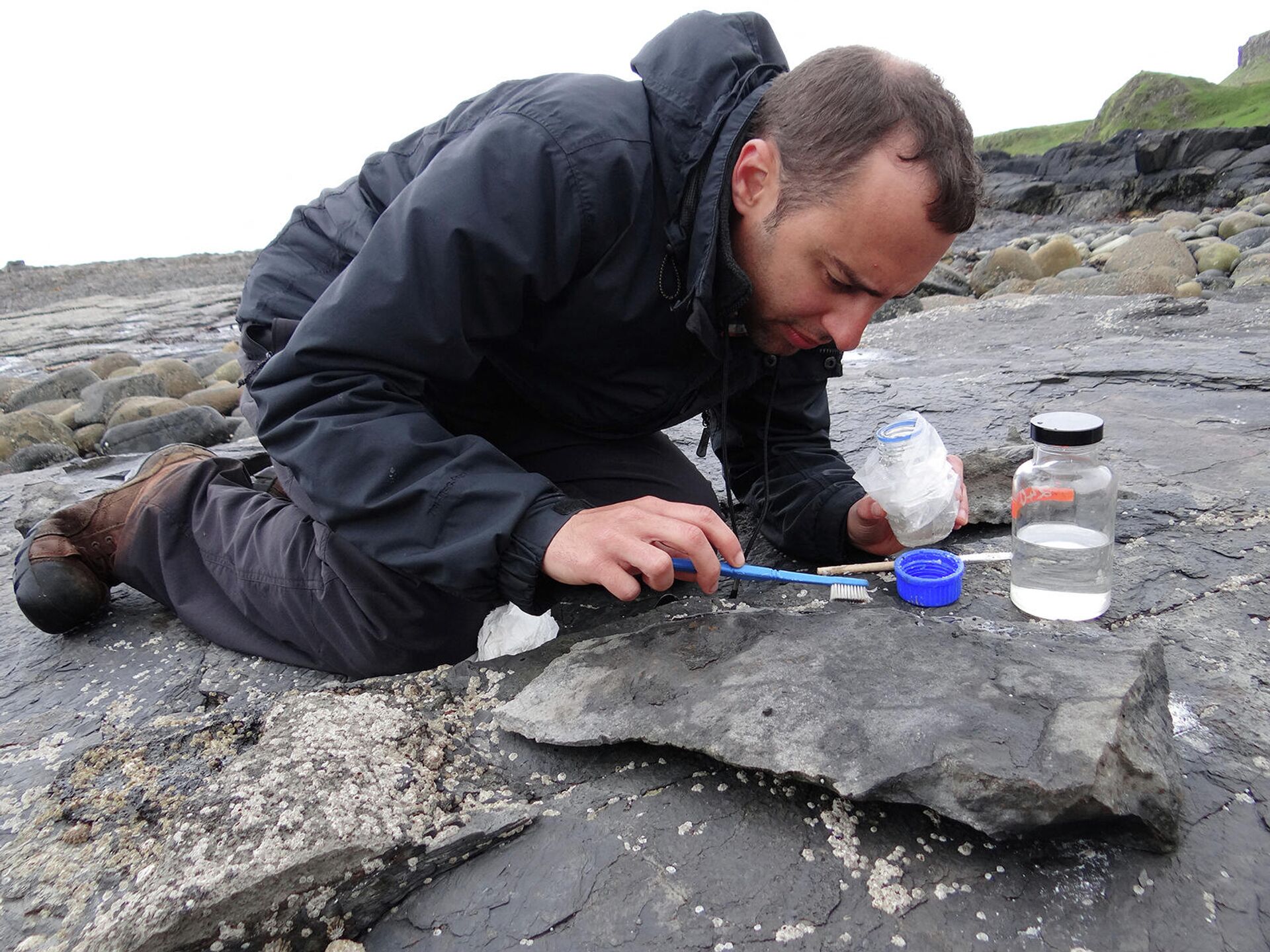 Исследователи изучают часть окаменелости недавно найденного птерозавра юрского периода, по имени Dearc sgiathanach, найденного на шотландском острове Скай - Sputnik Армения, 1920, 22.02.2022