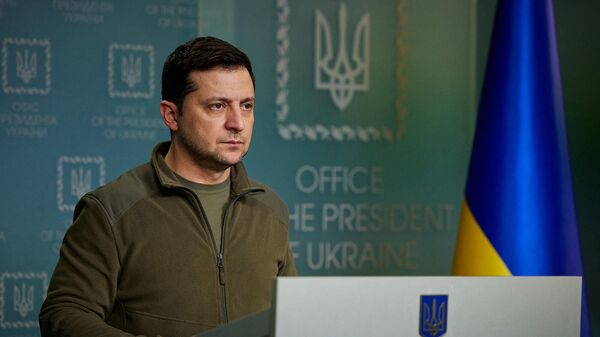 Президент Украины Владимир Зеленский делает заявление (25 февраля 2022). Киев - Sputnik Армения