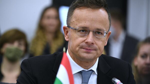 Глава МИД Венгрии призвал ЕС выделить сотни миллионов евро на охрану берега Африки