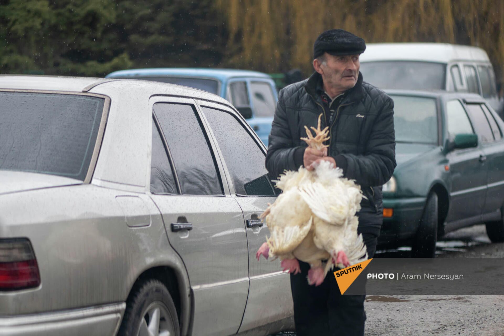 Птицефабрика Лусакерт раздает курицы перед закрытием - Sputnik Արմենիա, 1920, 02.03.2022