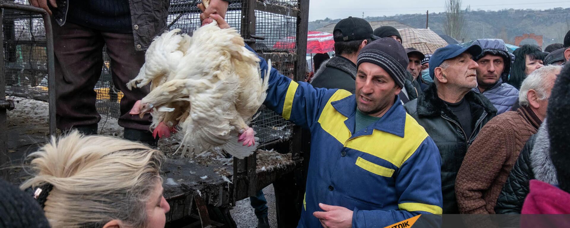 Птицефабрика Лусакерт раздает курицы перед закрытием - Sputnik Армения, 1920, 05.03.2022