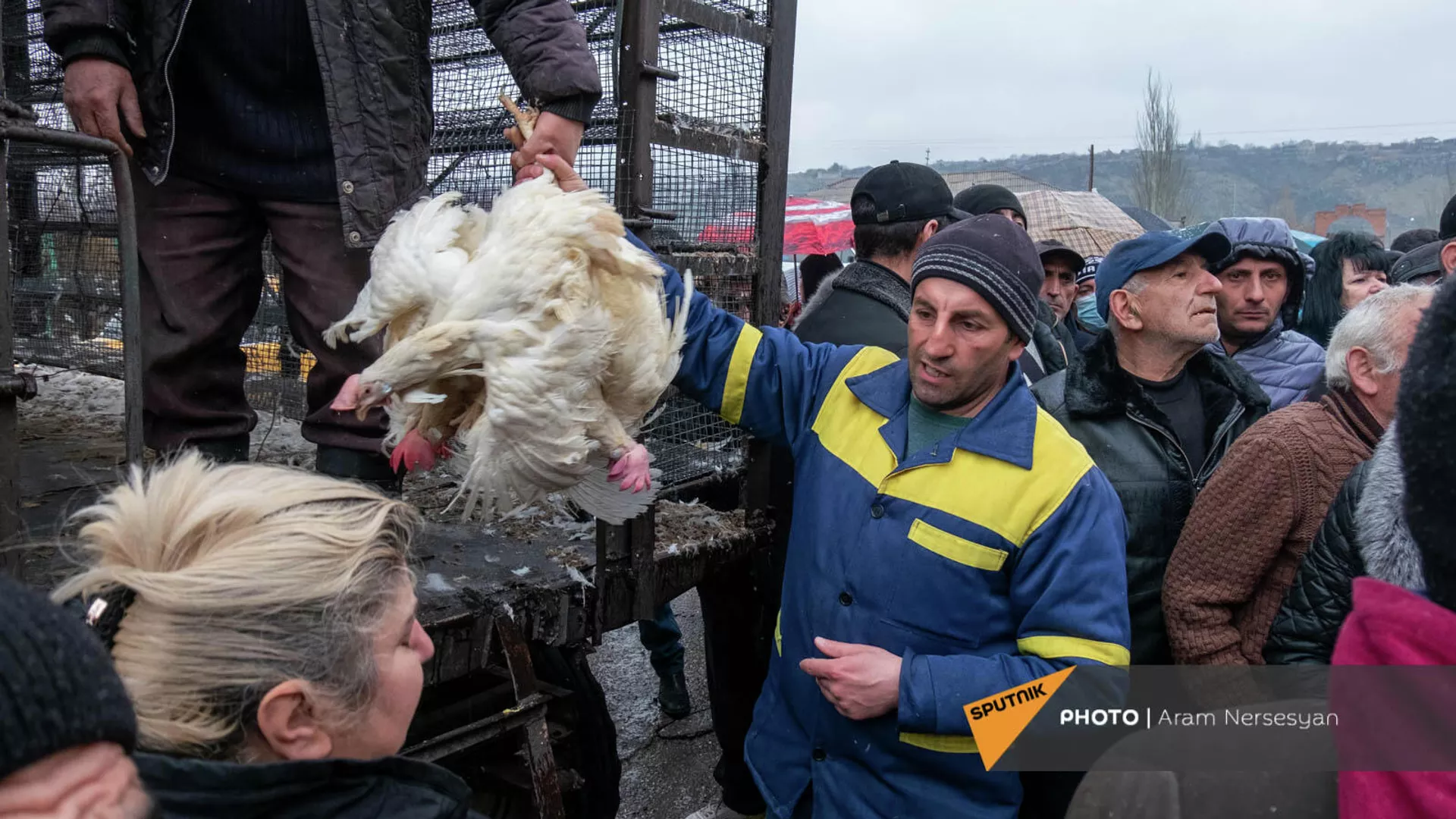 Птицефабрика Лусакерт раздает курицы перед закрытием Птицефабрика Лусакерт раздает курицы перед закрытием - Sputnik Армения, 1920, 05.03.2022