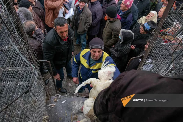 Птицефабрика Лусакерт раздает курицы перед закрытием Птицефабрика Лусакерт раздает курицы перед закрытием - Sputnik Армения