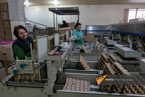 Сотрудники птицефабрики Лусакерт за работой Сотрудники птицефабрики Лусакерт за работой - Sputnik Армения