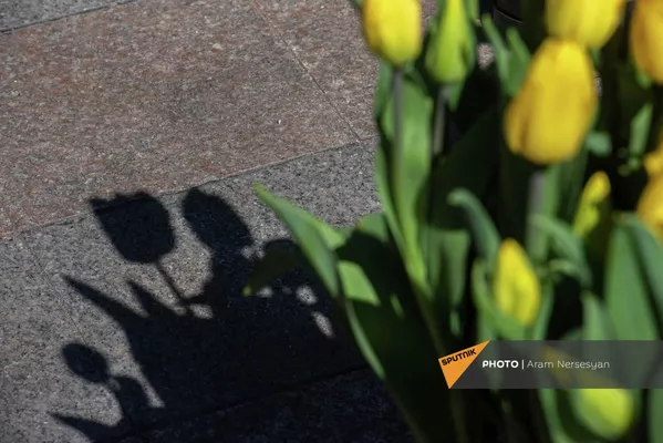 Ярмарка тюльпанов в центре Еревана Ярмарка тюльпанов в центре Еревана - Sputnik Армения