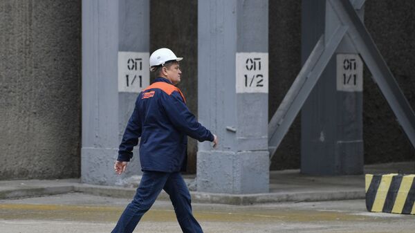 Работник атомной электростанции - Sputnik Армения