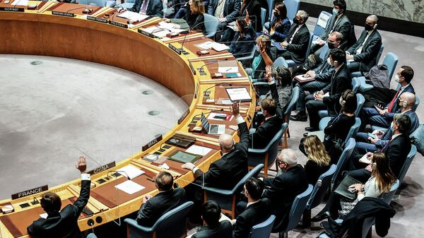ՄԱԿ Անվտանգության խորհրդի նիստ - Sputnik Արմենիա