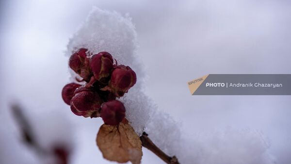 Ереван - Sputnik Армения