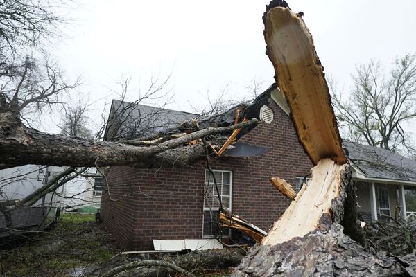 Сильный ветер повалил дерево на дом, в результате чего обрушилась часть крыши и наружной стены 22 марта 2022 года, в Эдвардсе, штат Миссисипи - Sputnik Армения