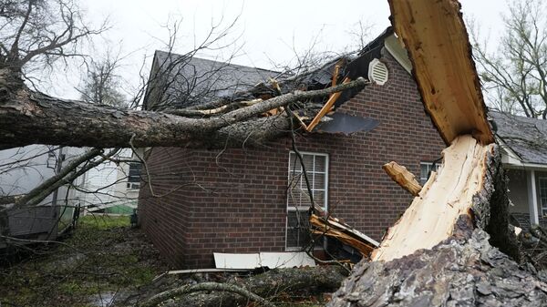 Упавшее дерево после удара торнадо по штату Миссисипи - Sputnik Արմենիա