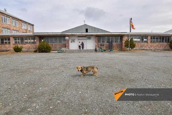 Собака во дворе школы села Абовян - Sputnik Армения
