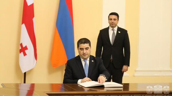 Председатель Парламента Грузии Шалва Папуашвили оставляет запись в книге почетных гостей Национального собрания Армении (5 апреля 2022). Еревaн - Sputnik Армения