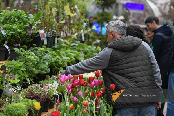 Чаще всего покупатели выбирают цветущие растения небольших размеров - Sputnik Армения