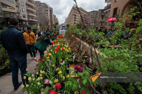 Ярмарка цветов и  растений &quot;Весенний сад&quot; открылась в центре Еревана - Sputnik Армения