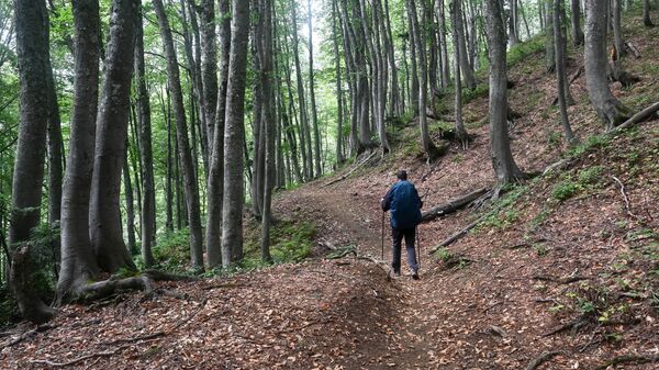 Кавказский государственный природный биосферный заповедник им. Шапошникова - Sputnik Армения