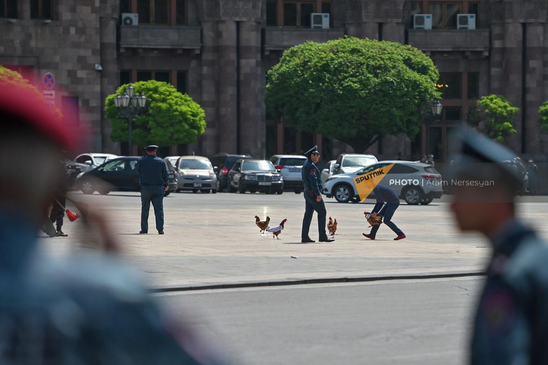 Полицейские ловят кур с агитационными листовками на площади Республики после акции протеста Ара Зограбяна (30 апреля 2022). Еревaн - Sputnik Արմենիա, 1920, 30.04.2022