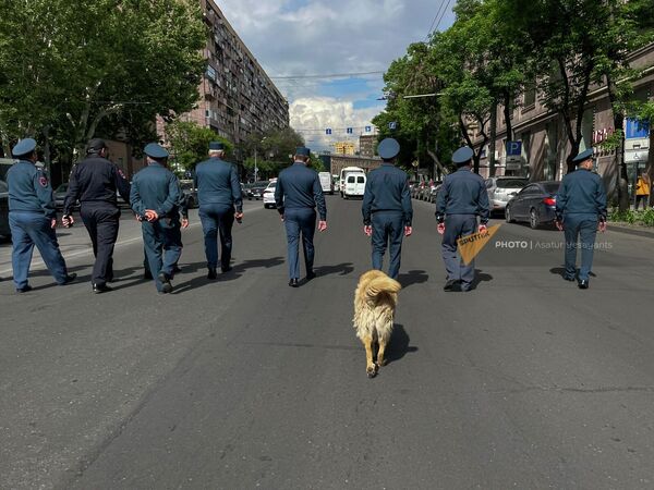 Երթի մասնակիցներին ուղեկցում են ոստիկանները, իսկ նրանց&#x60; շունը։ - Sputnik Արմենիա