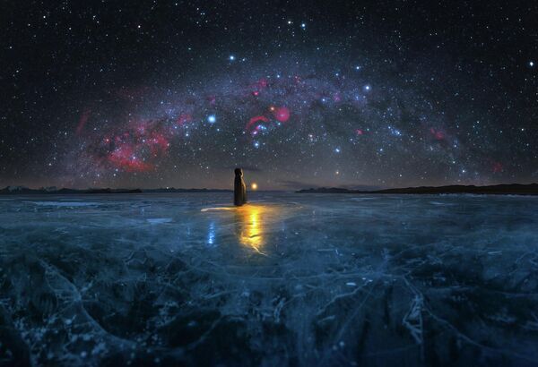 Չինացի լուսանկարիչ Ալվին Վուի «Ice Age» («Սառցե դարաշրջան») լուսանկարը - Sputnik Արմենիա
