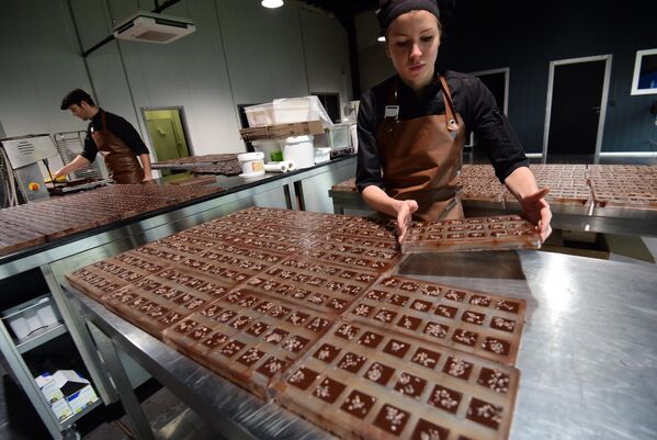 Шоколадная фабрика Бенуа Ниханта в Авансе. - Sputnik Армения