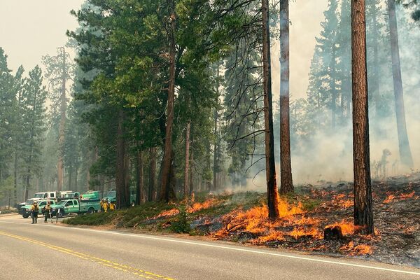Пожар в Уошберне в Национальном парке Йосемити, Калифорния. - Sputnik Армения