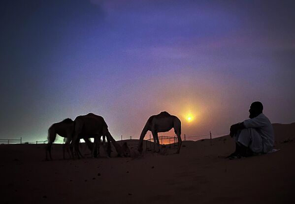 Пакистанский смотритель верблюдов под полной луной в пустыне Аль-Мармум. - Sputnik Армения