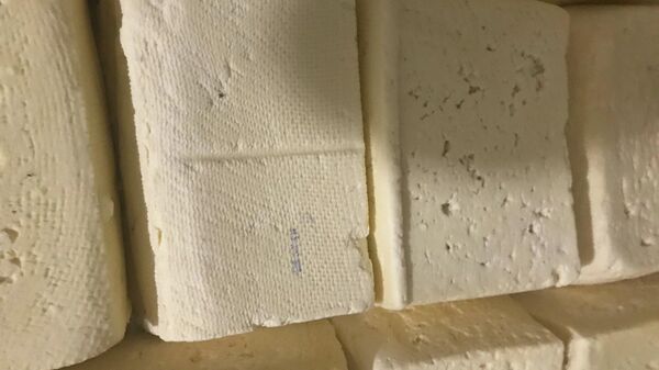 Приостановлено производство сырного продукта Чанах на молочном заводе индивидуального предпринимателя Мане Григорян - Sputnik Армения