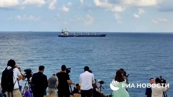 Журналисты наблюдают с берега за осмотром первого сухогруза с украинским зерном, который проводит инспекционная группа в Стамбуле - Sputnik Армения