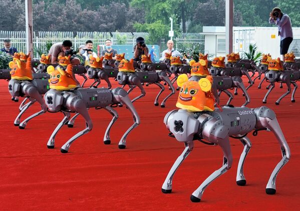 Танец &quot;четвероногих&quot; роботов компании Unitree Robotics стал одним из самых зрелищных моментов конференции и был посвящен символу 2022 года – тигру, поэтому на каждом из роботов сидел игрушечный тигренок - Sputnik Армения