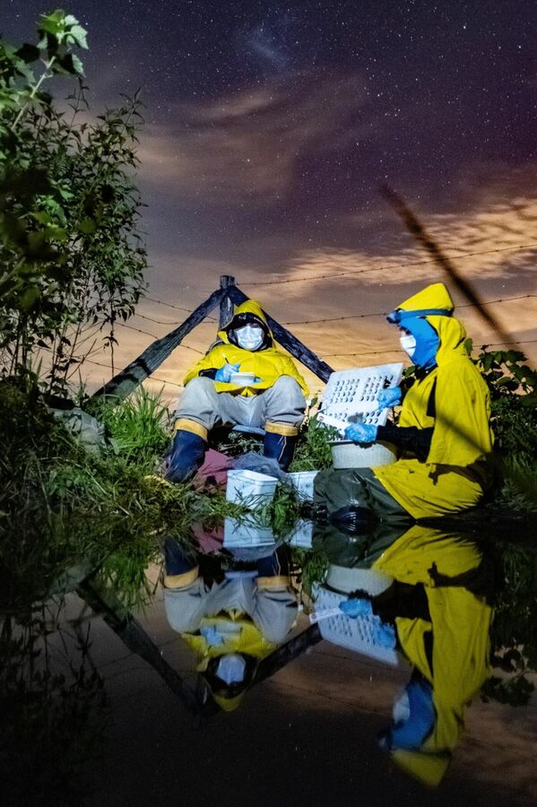 Լուսանկարիչ Jeferson Ribeiro Amaral–ի «Դիմակներ, անձրև և շերեփուկները» առաջին տեղն է զբաղեցրել «Ուսումնասիրությունները գործողության մեջ» անվանակարգում։ - Sputnik Արմենիա