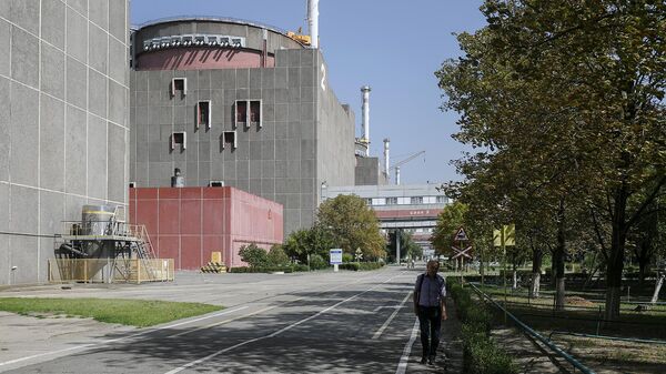 Энергоблоки №2 и №3 Запорожской АЭС в Энергодаре - Sputnik Армения