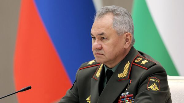 ՌԴ պաշտպանության նախարար Սերգեյ Շոյգուն - Sputnik Արմենիա