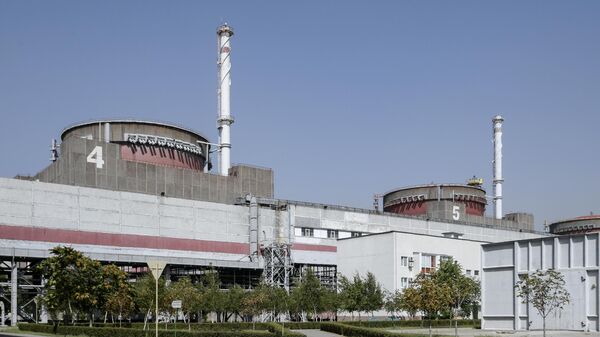 Энергоблоки №4 и №5 Запорожской АЭС в Энергодаре - Sputnik Армения