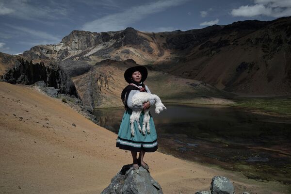 &quot;Альпакерос&quot; Алессандро Чинкве - портрет 35-летней женщины, семья которой в течение трех поколений занимается выращиванием альпак в перуанских Андах.  - Sputnik Армения