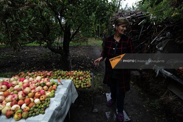 Последствия обстрела в саду жительницы Сотка Вардуи Хачатрян - Sputnik Армения