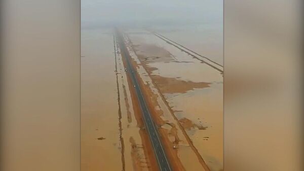 Проливные дожди на севере Саудовской Аравии превратили обширные районы пустыни в настоящие озера - Sputnik Армения