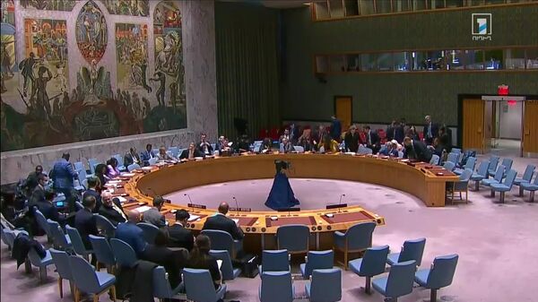 Заседание Совета Безопасности ООН (20 декабря 2022). Нью-Йорк  - Sputnik Армения
